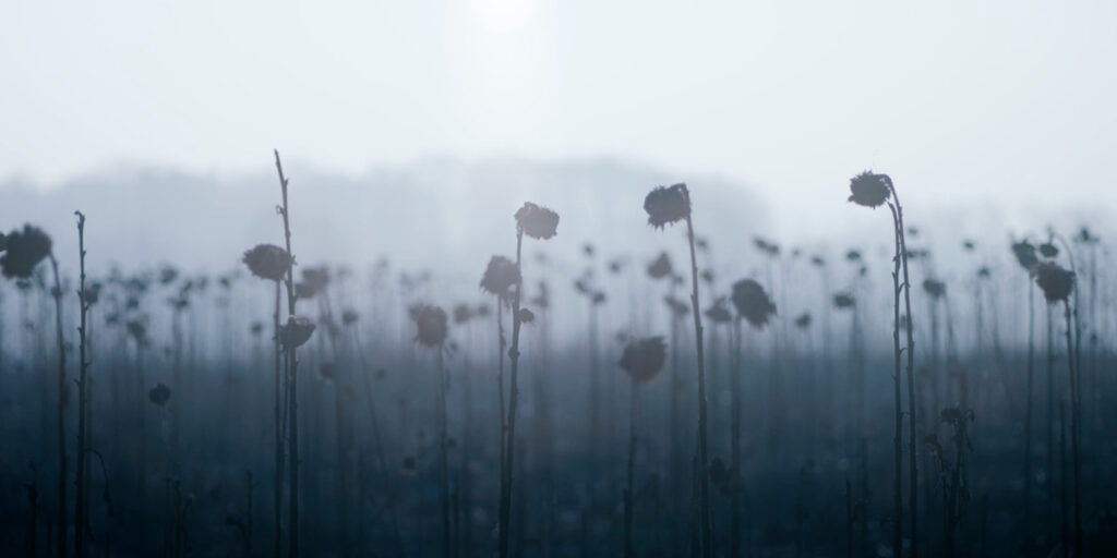 Kamera screenshot